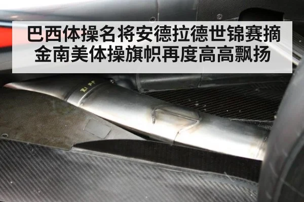 巴西体操名将安德拉德世锦赛摘金南美体操旗帜再度高高飘扬